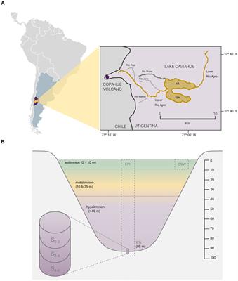 Nutrient structure dynamics and microbial communities at the water–sediment interface in an extremely acidic lake in northern Patagonia